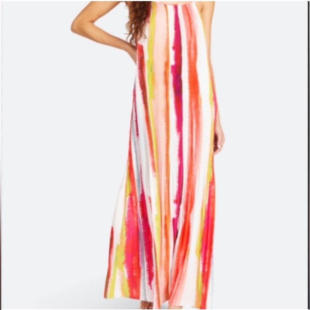 BB Dakota Dress